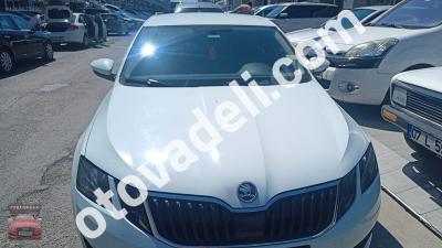 Skoda Octavia 2019 1.6 TDI Optimal